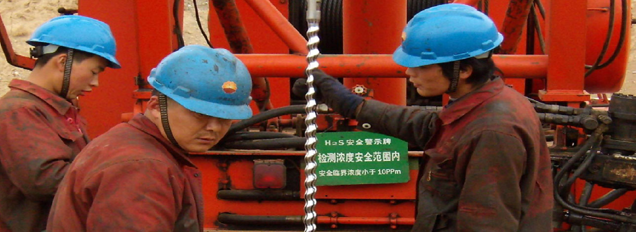 Single screw downhole pump