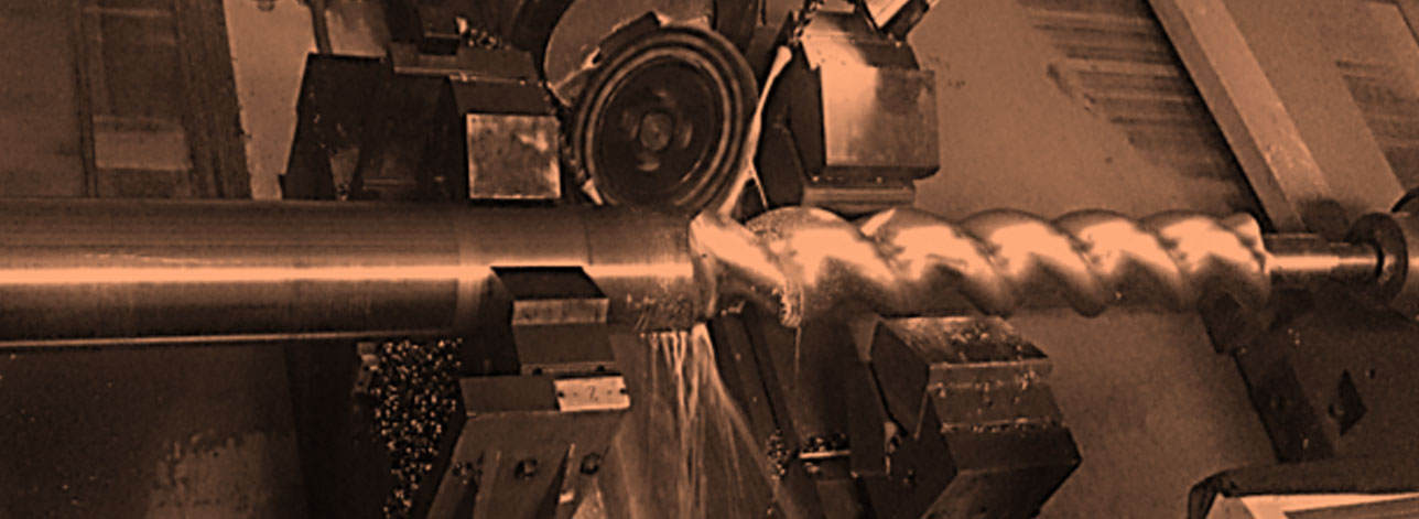 Single screw pump rotor